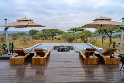 Tanzania Mid-Range Safari