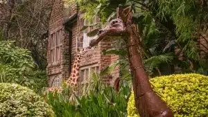 giraffe manor
